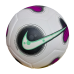 Nike Futsal Pro Ball (FJ5549-100)